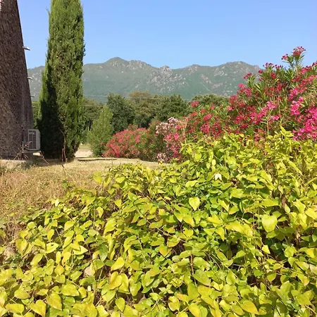 Mara Poggio Contemporaine Dans Un écrin De Verdure Villa