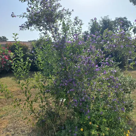 Mara Poggio Contemporaine Dans Un écrin De Verdure