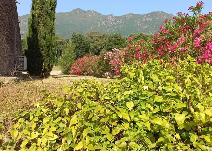 Mara Poggio Villa