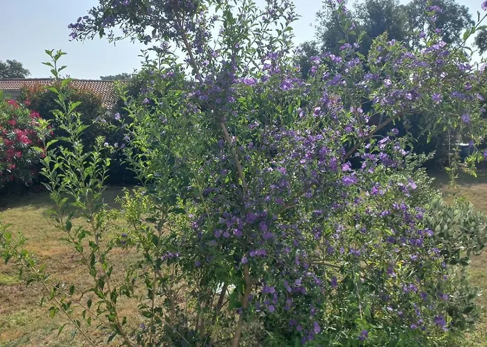 Mara Poggio
